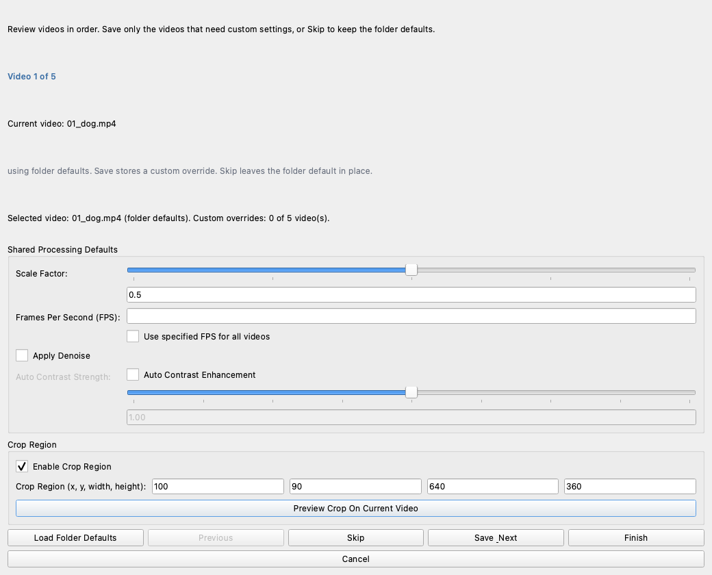 Annolid downsample dialog - per-video review